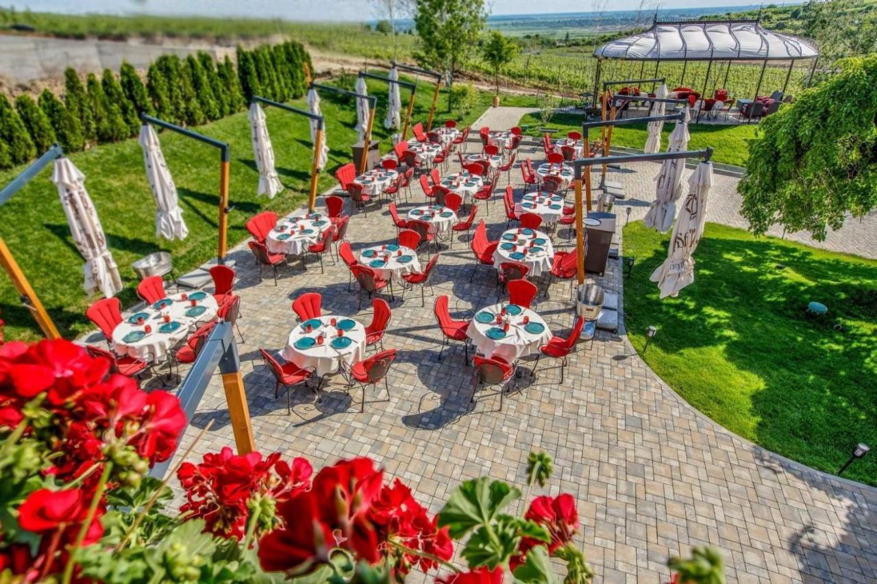 Casa Timis - Wellness & Spa Resort Chitorani Exterior photo Terrace of the restaurant