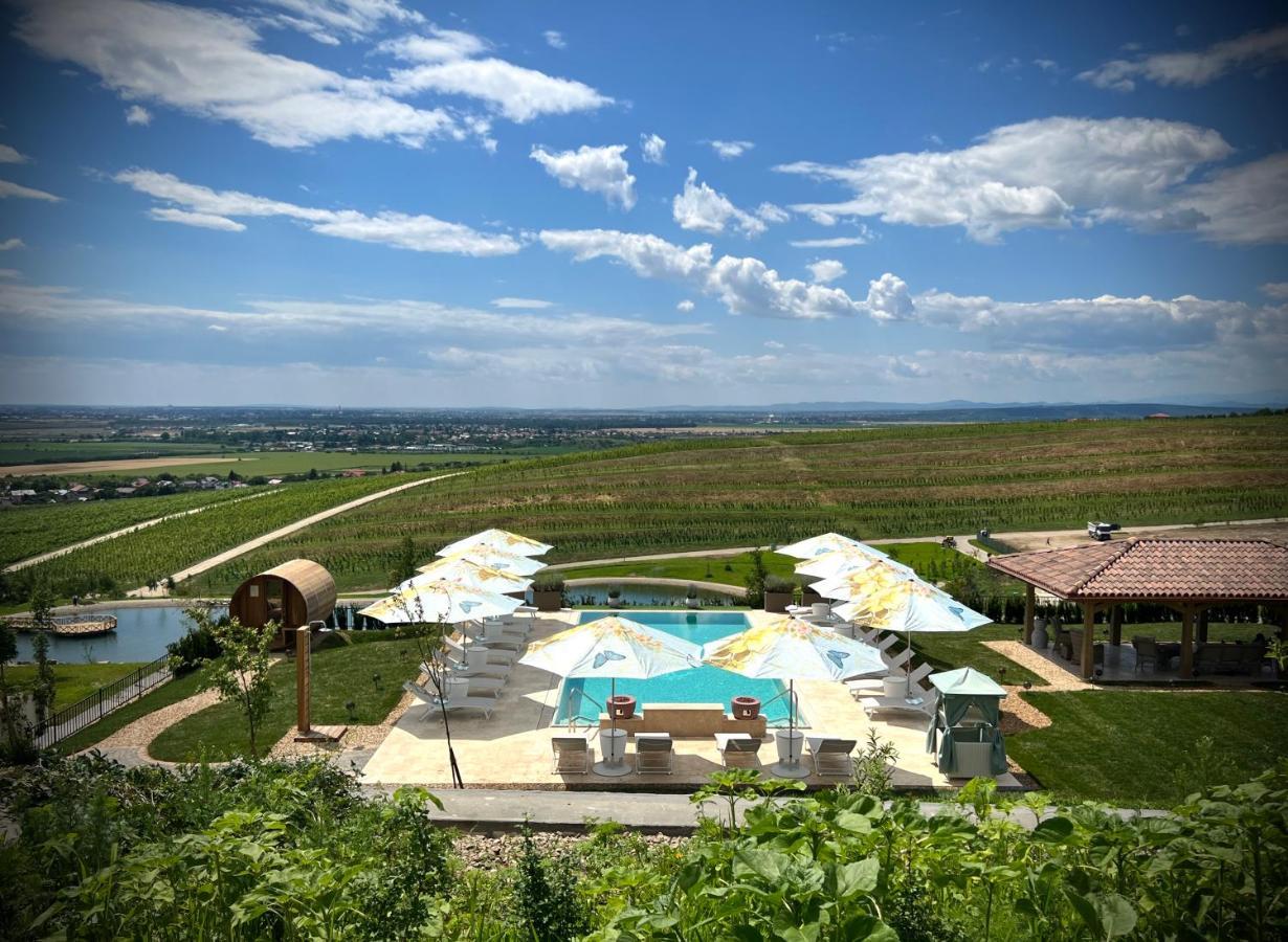 Casa Timis - Wellness & Spa Resort Chitorani Exterior photo View of the resort