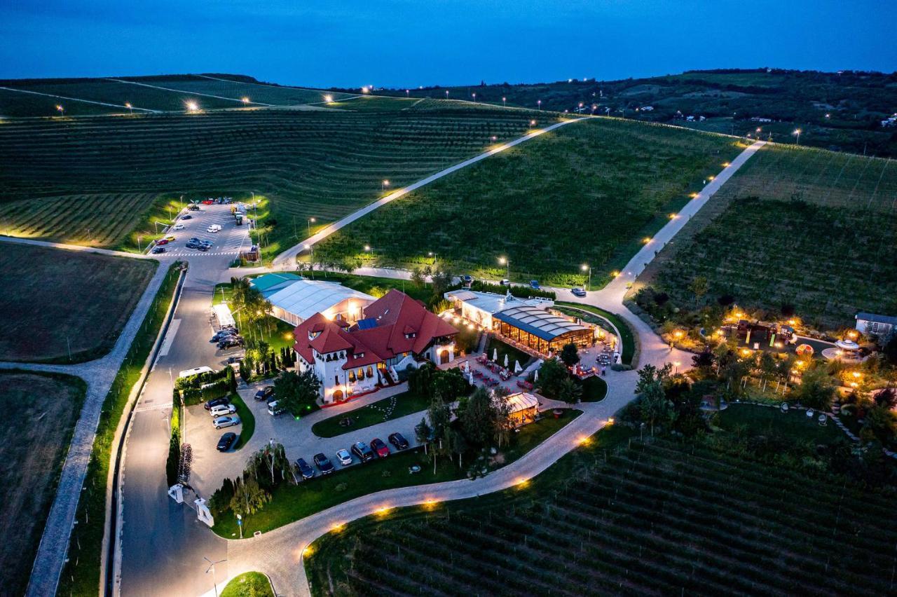 Casa Timis - Wellness & Spa Resort Chitorani Exterior photo Aerial view of the winery